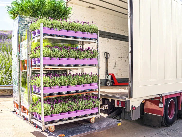 Top Plants & Flower Refrigerated Transportation Services in Dubai