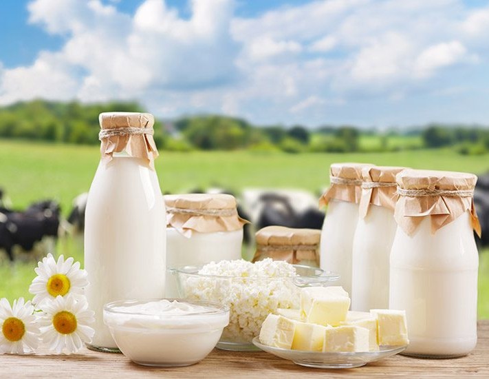 Best Dairy Products Transportation Services in Dubai